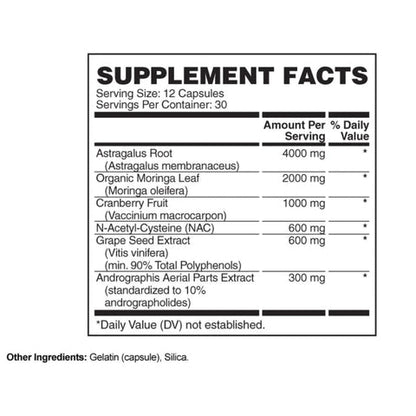 Apollon Nutrition Kidney Kindness